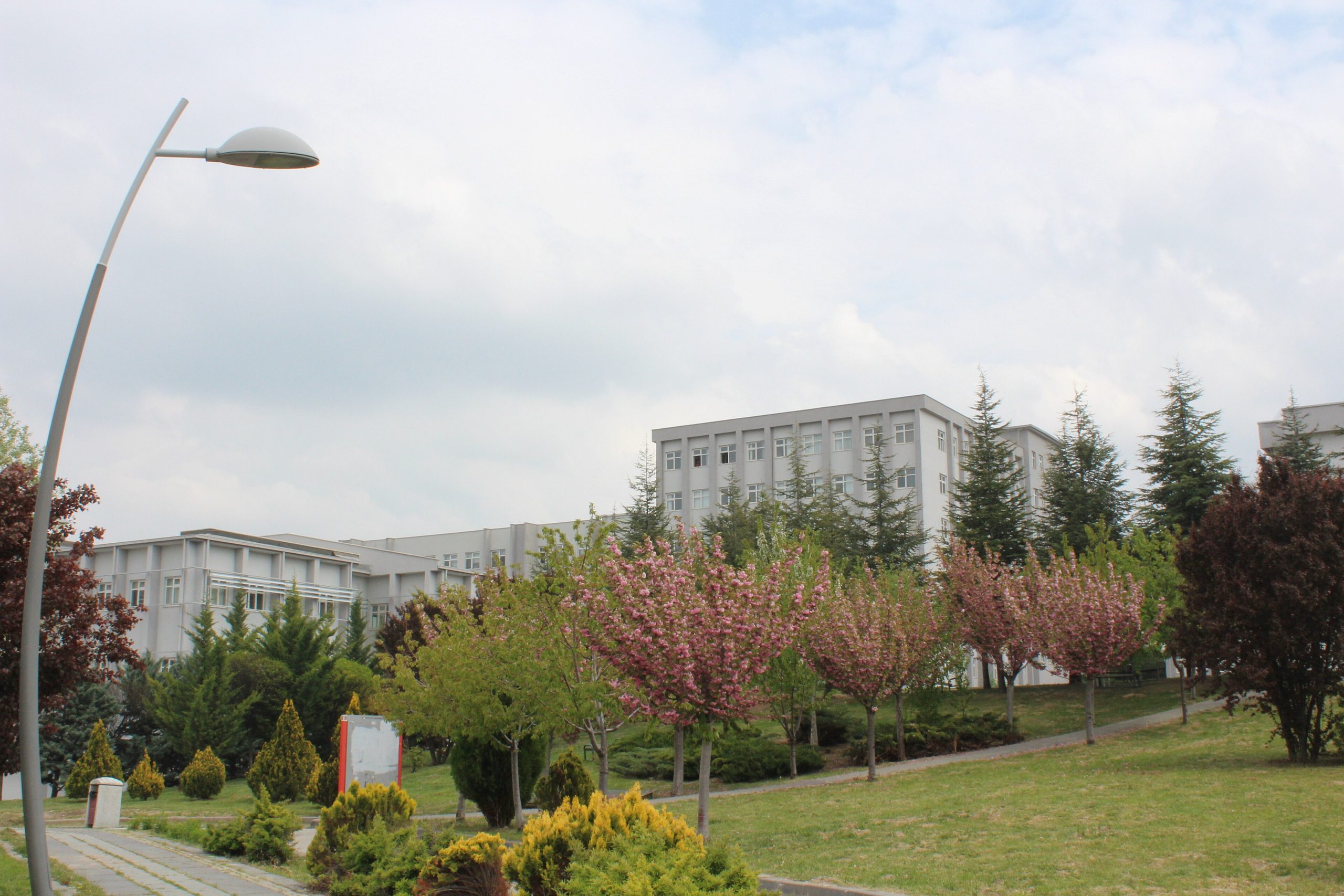 Ankarada Hacettepe Universitetinin Beytepe kampusu