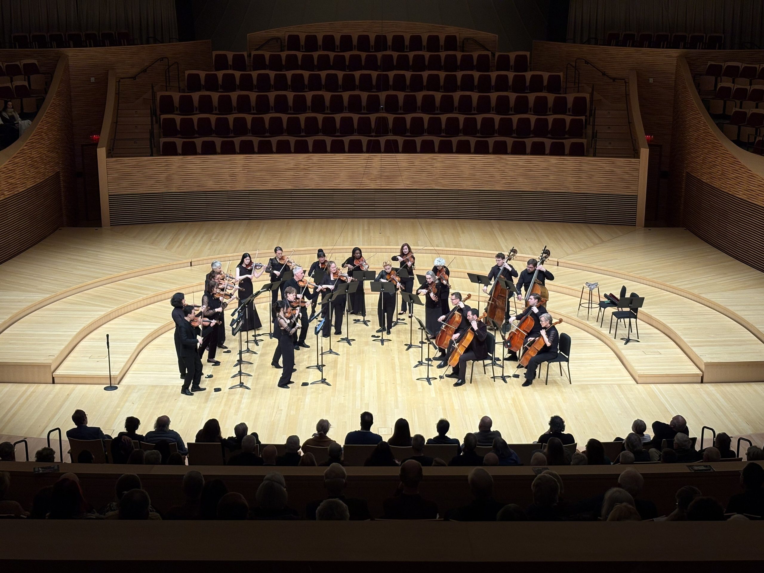 Stenford Universitetinin konsert zalında çıxış edən kamera orkestri